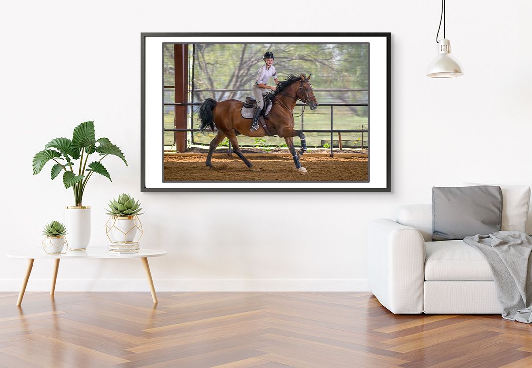 Framed equestrian artwork and potted plants decorate a bright modern living room with hardwood floors and white walls.