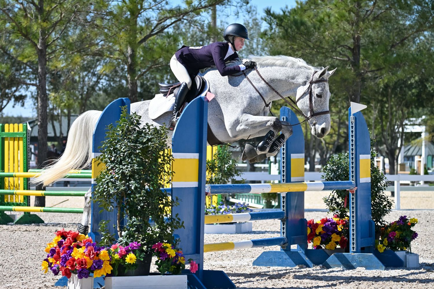 Hunter jumper event coverage at Great Southwest Equestrian Center  — private equestrian photographer for riders and barns.