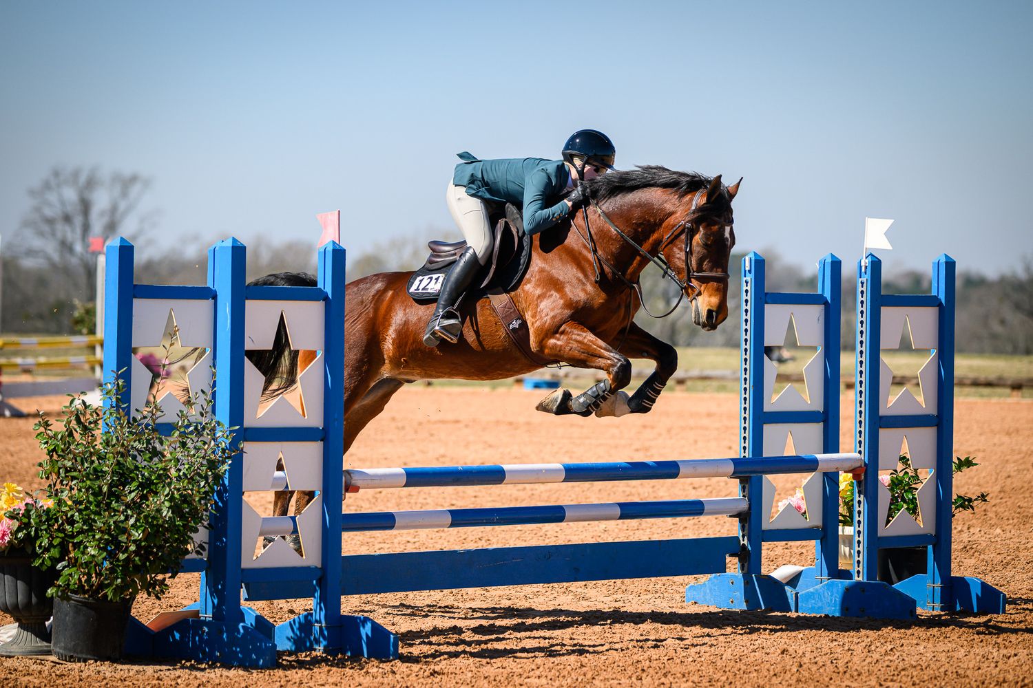 Equestrian rider on chestnut horse clearing blue and white show jumping obstacles in outdoor arena competition.