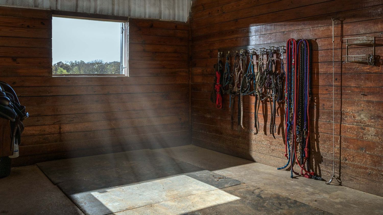 Barn branding photography for equestrian professionals in Texas