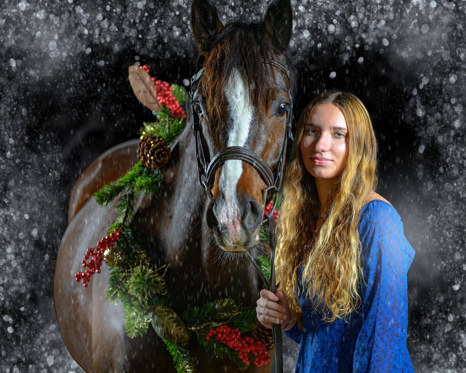 A person in a blue sweater poses with a brown horse and festive holiday greenery and berries in a snowy setting.