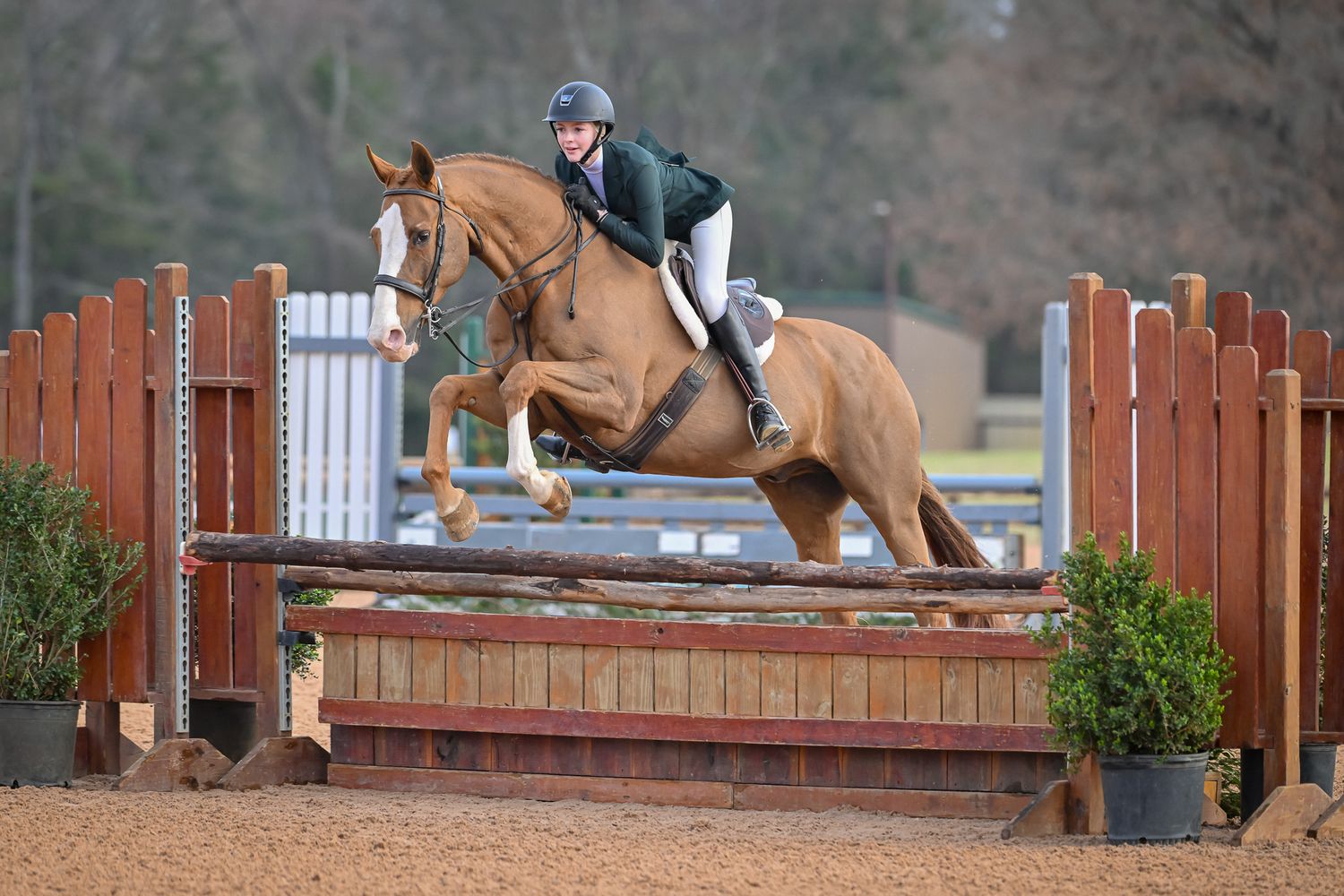 A hunter equestrian gracefully clearing a fence as captured by private horse show photographer Sean Stacey.