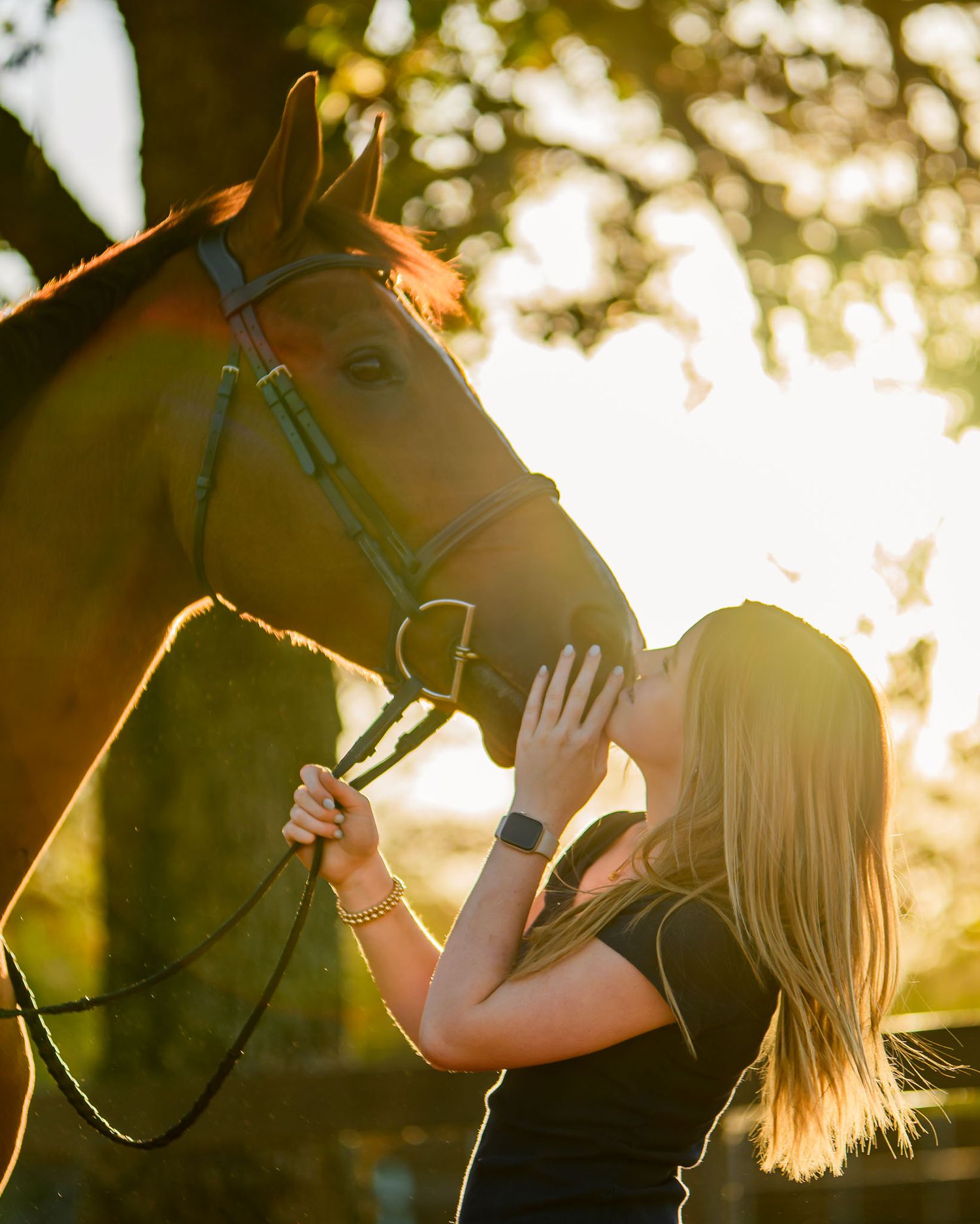 Image of horse and rider bonding during sunset with beautiful backlighting taken by Sean Stacey Photography, a equine photographer in DFW.