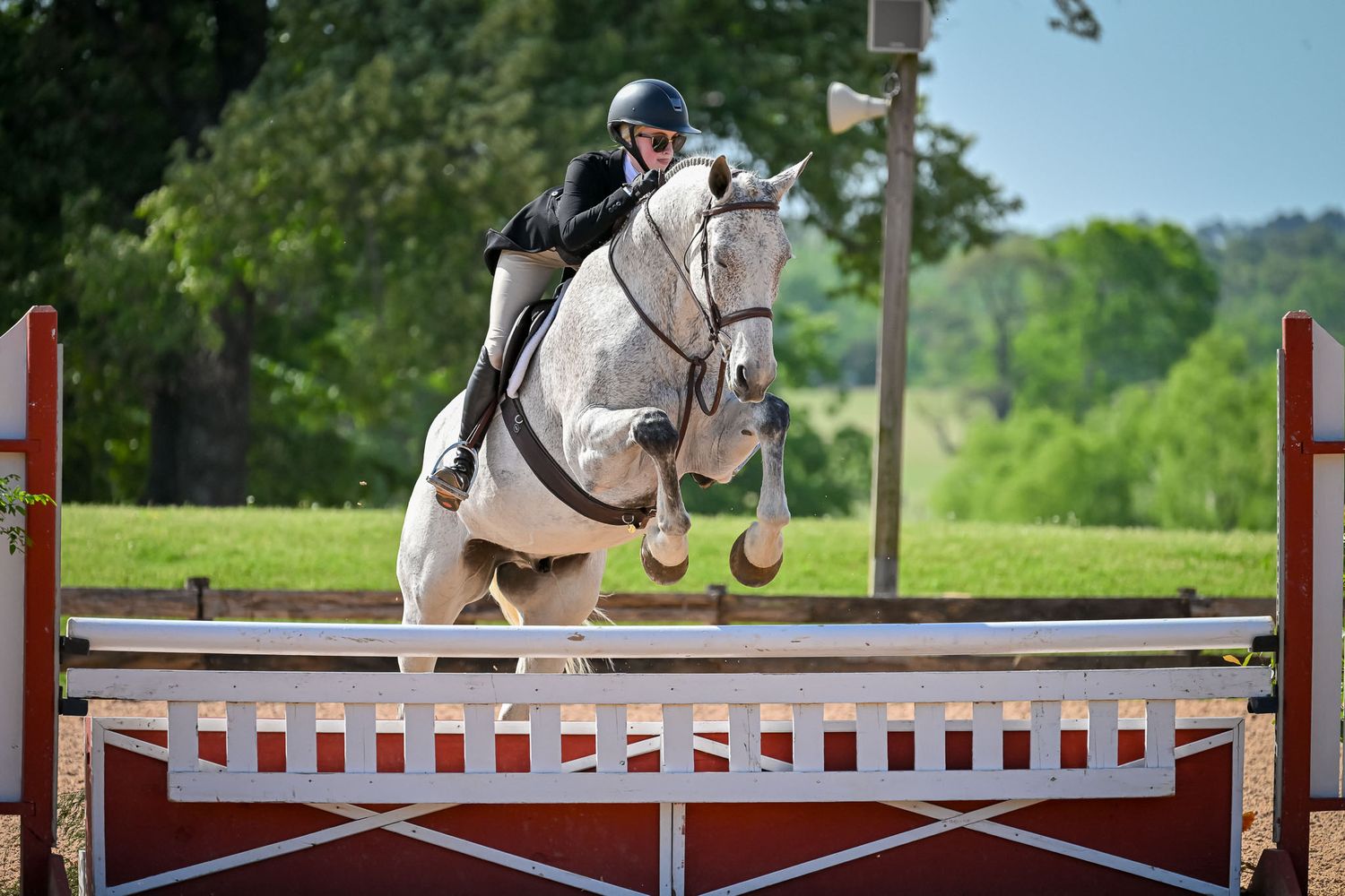 Gray horse and rider clearing a fence at Great Southwest Equestrian Center during jumper competition — equestrian photography by Sean Stacey