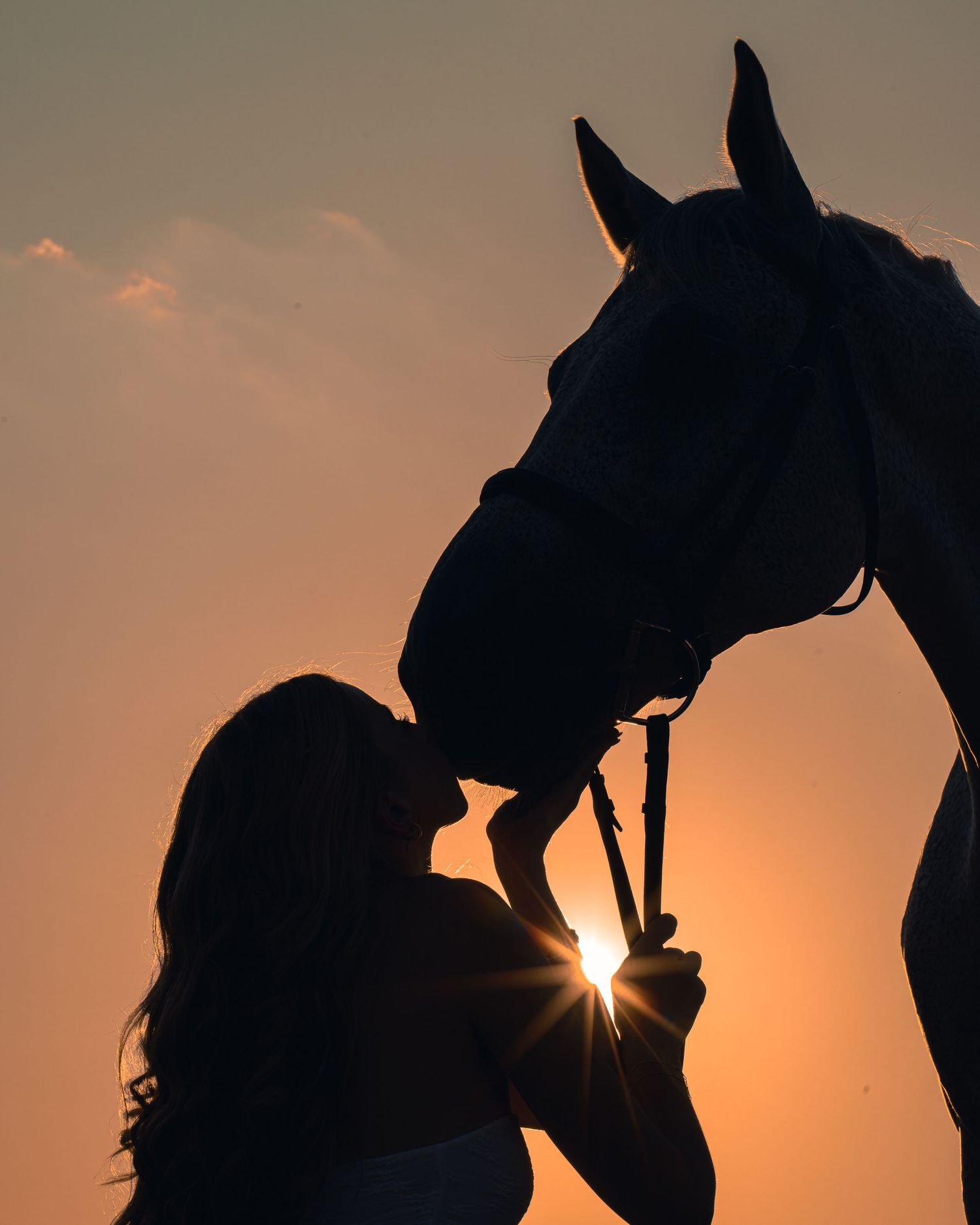 Editorial-style horse and rider portrait captured at sunset — DFW equestrian photographer