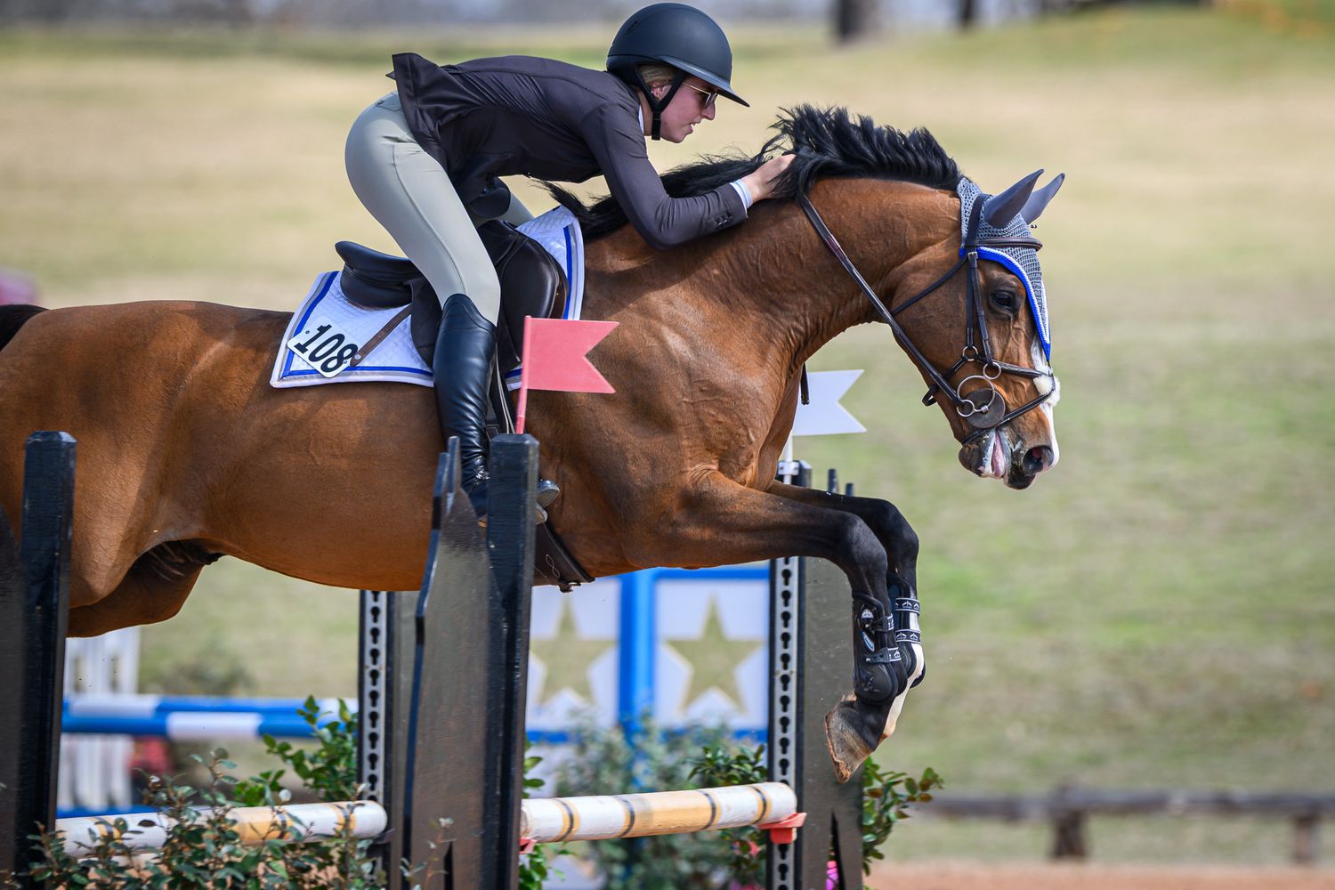 MB Sporthorses rider competing during a private photography session