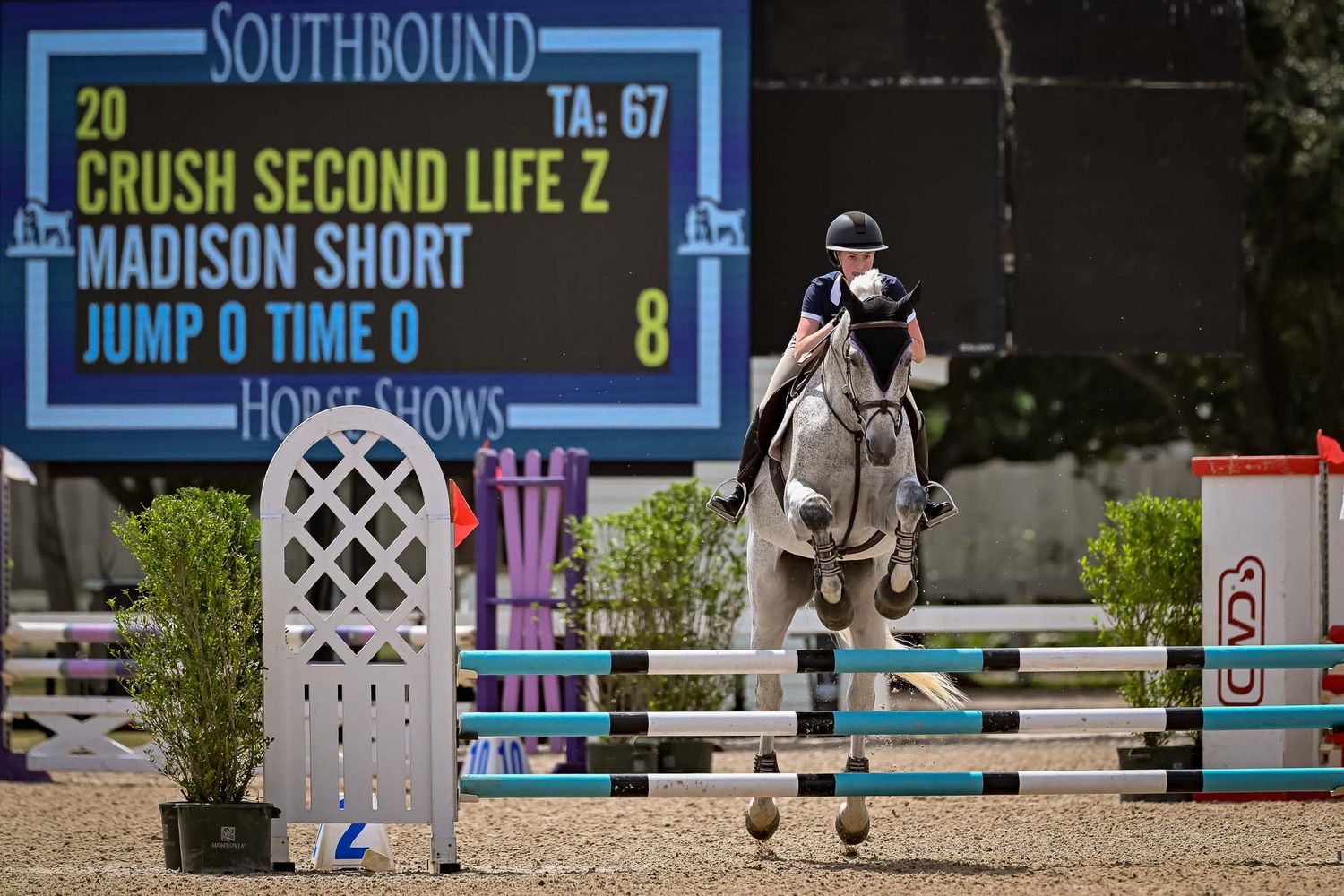 Professional equine photographer Sean Stacey capturing horse and rider during show — private show coverage in Texas.