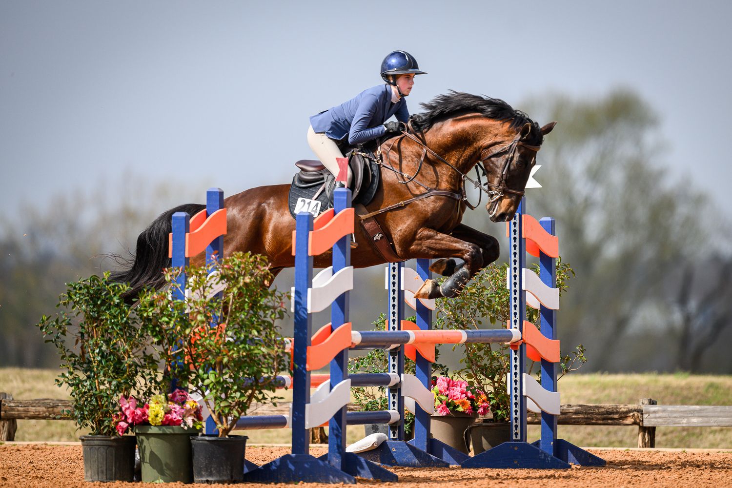An equestrian clears a fence in a jumper competition taken by private show photographer, Sean Stacey