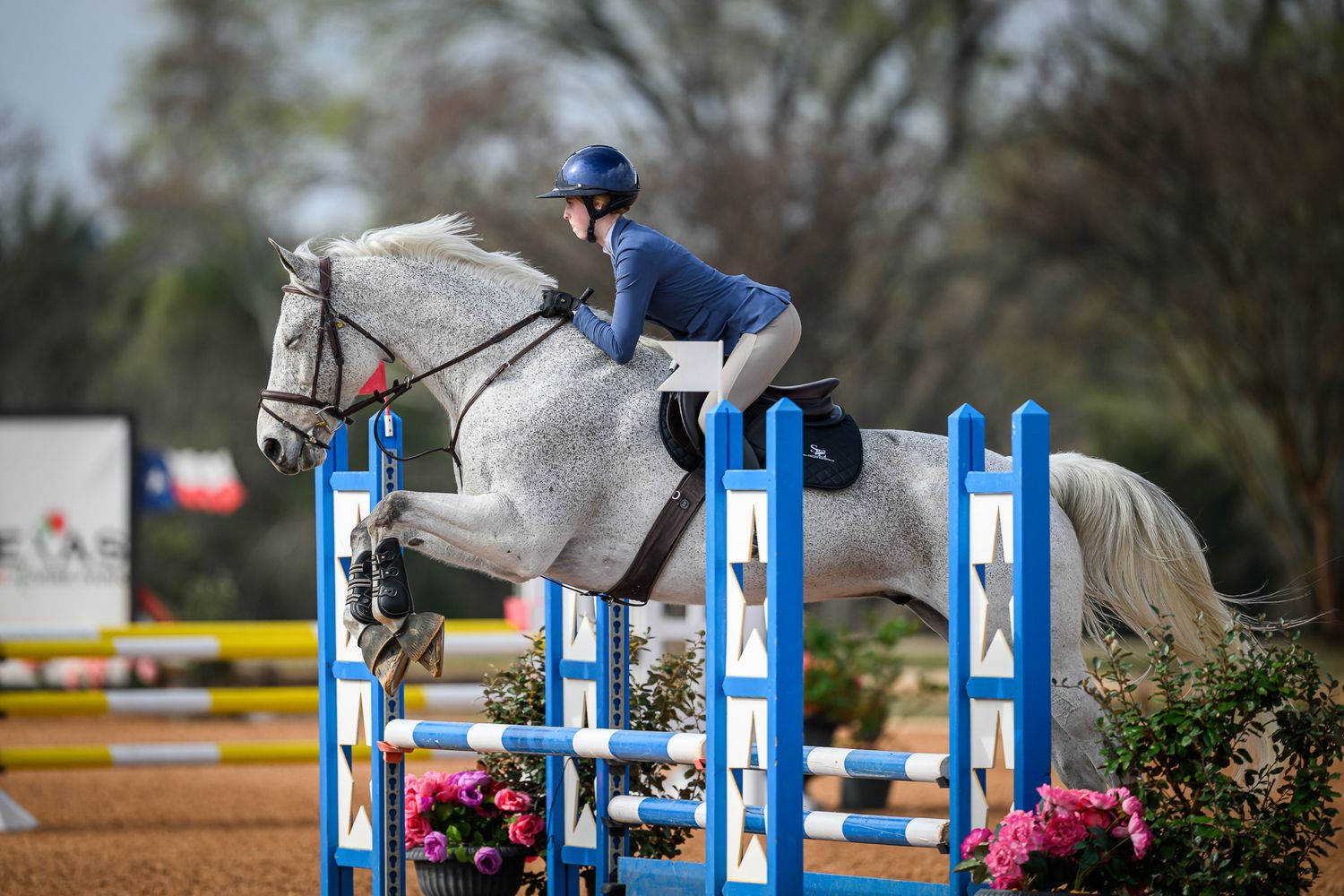 A horse and rider jumping over a fence at Texas Rose Horse Park captured by professional equine photographer Sean Stacey.