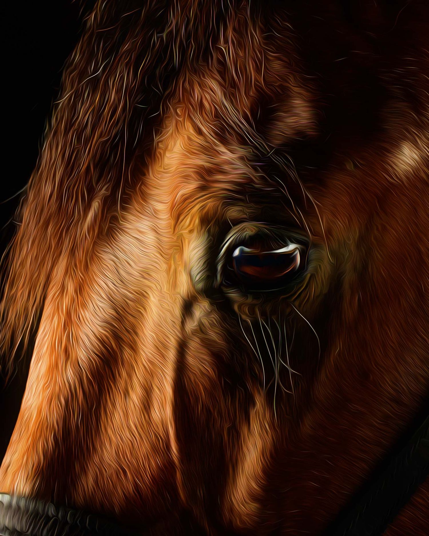 Luxury fine-art horse portrait showcasing light, detail, and grace showcasing the deep gaze of a chestnut horse.