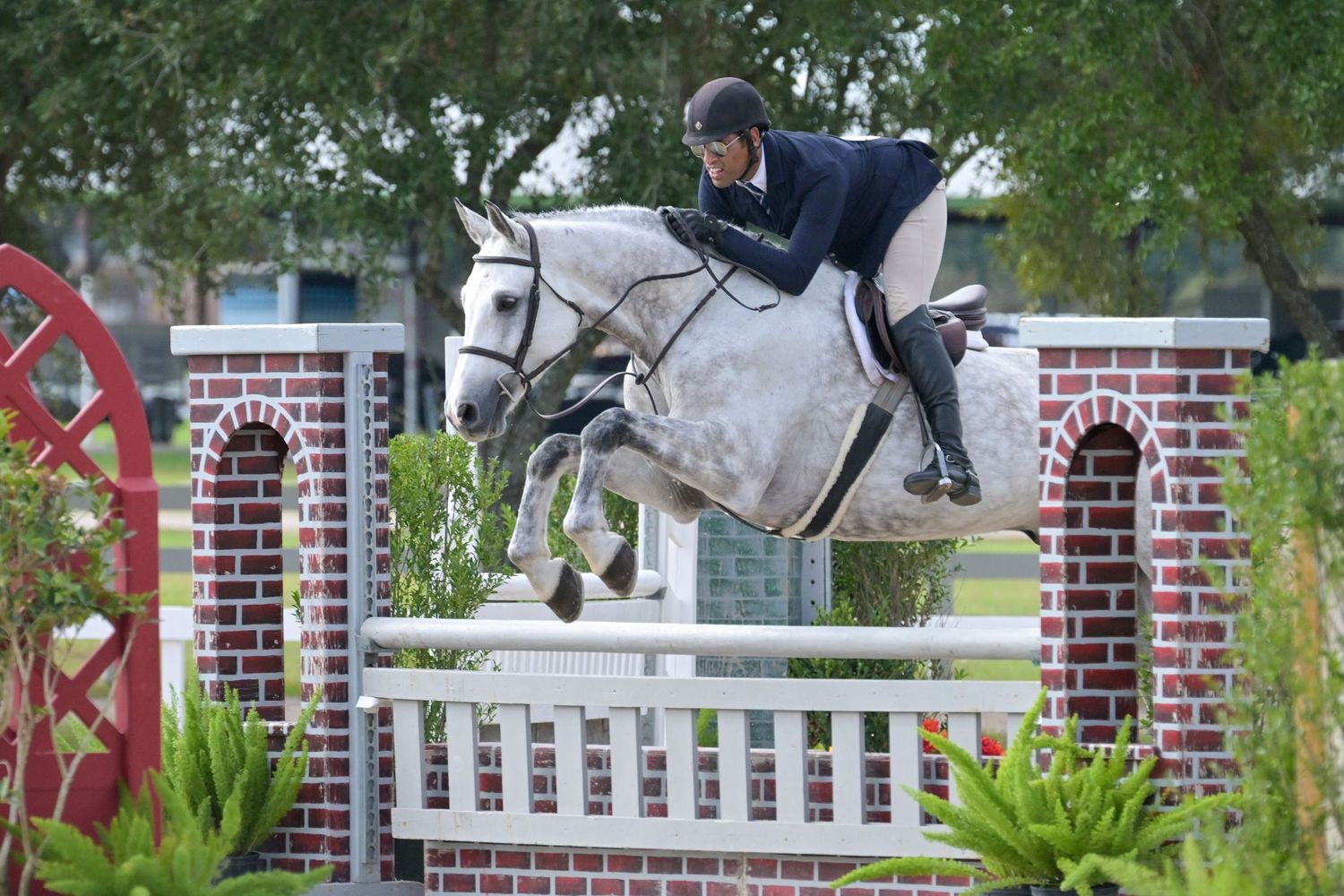 Equestrian show photography — in-ring action shot by Sean Stacey Photography.