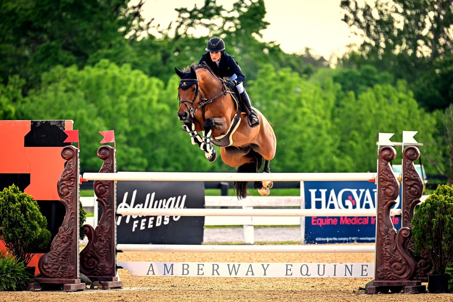 Sport horse show photographer capturing Jessica Springsteen competing in a jumper competition at Kentucky Horse Park in Lexington.