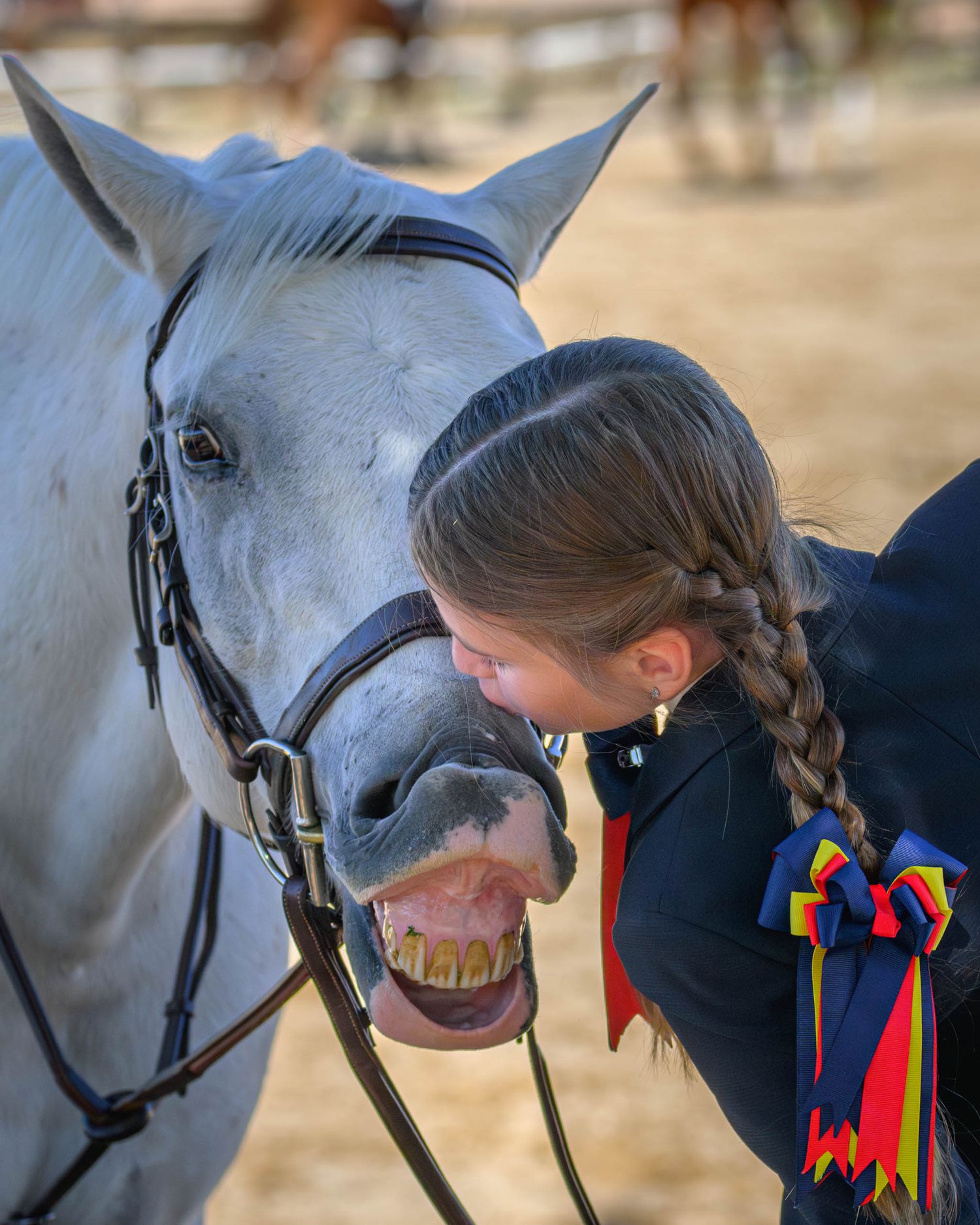 Texas hunter jumper show of a candid photograph taken ringside at Texas Rose Horse park by Sean Stacey