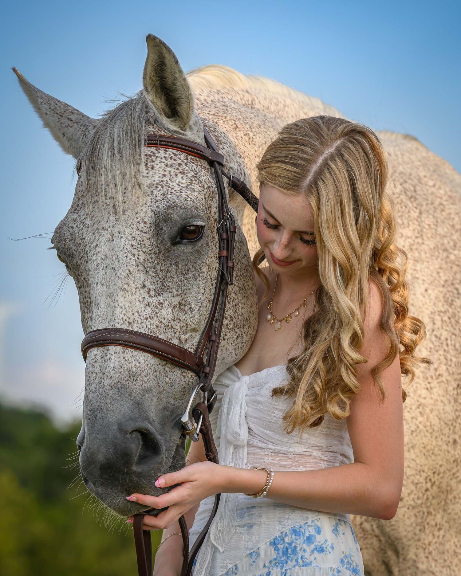 Fine-art equine portrait in Texas by Sean Stacey Photography — luxury black background horse photography.