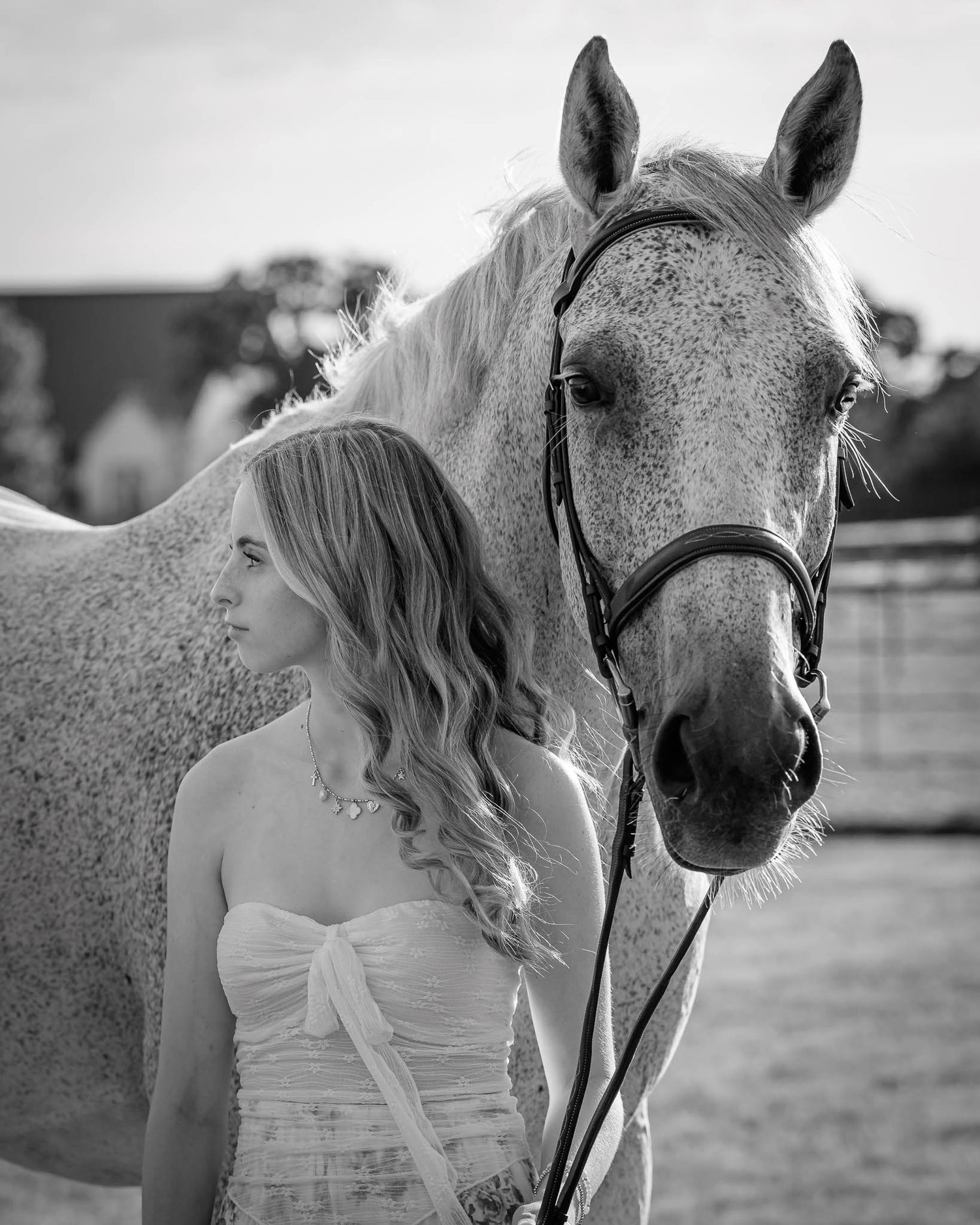 A series of black and white photos showing a person in a white dress interacting with a dappled gray horse in a field.