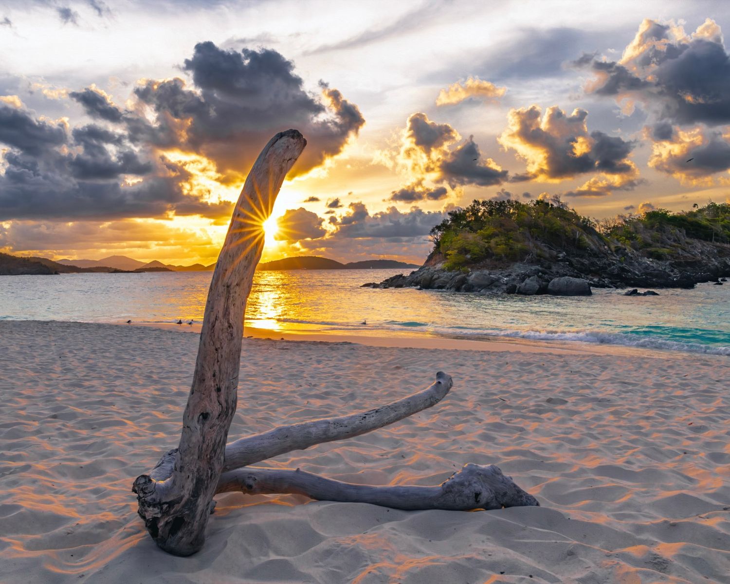 Weathered driftwood log rests on the sandy beach of Trunk Bay, USVI, at sunset with dramatic orange and purple clouds in the sky.
