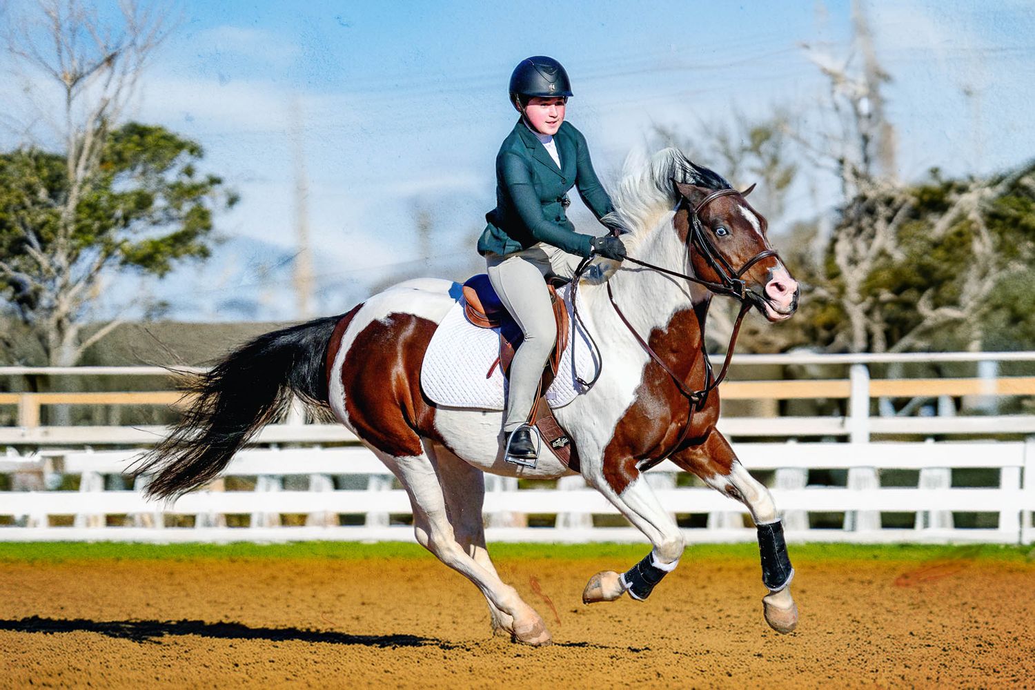 Fine-art private show photography for riders and trainers — Texas equestrian events.