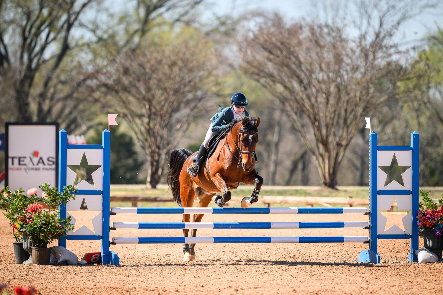 Equestrian athlete guiding her horse through a jumper course captured by private horse show photographer Sean Stacey