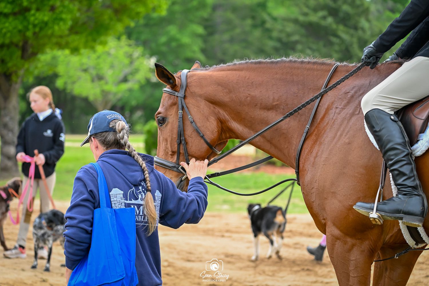A group of riders on horseback navigate through a wooded trail during an equestrian event.