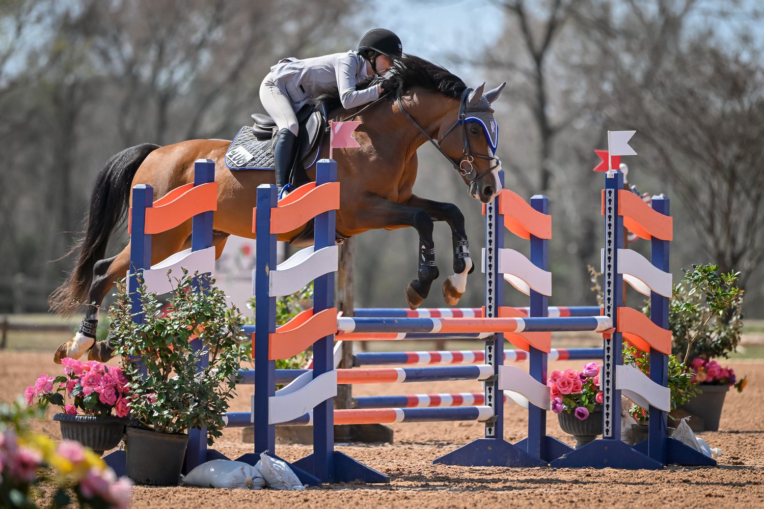 MB Sporthorses rider competing during a private photography session at Texas Rose Horse park captured by Sean Stacey.