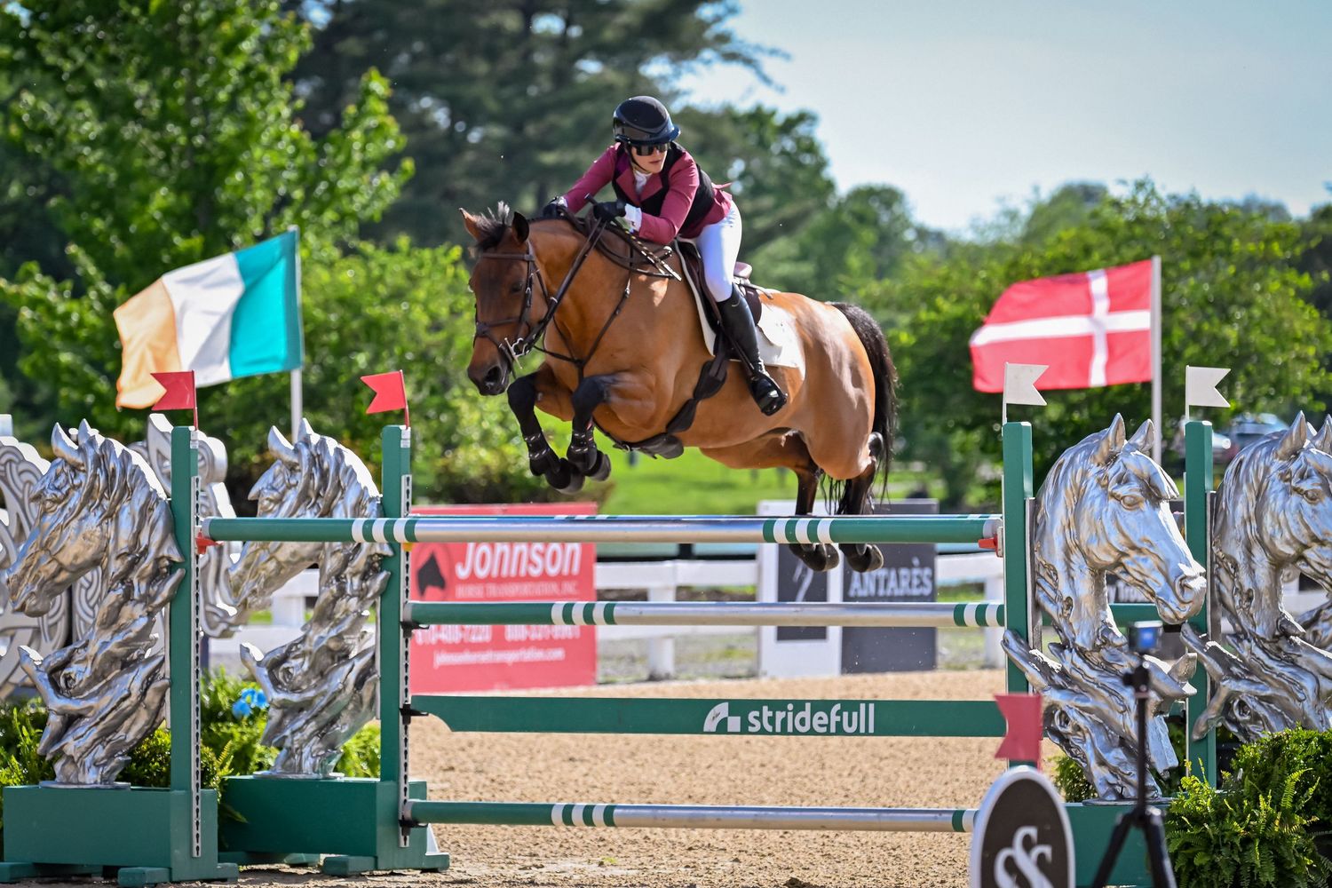 Show jumper clearing a fence during hunter jumper event — professional horse show photographer.