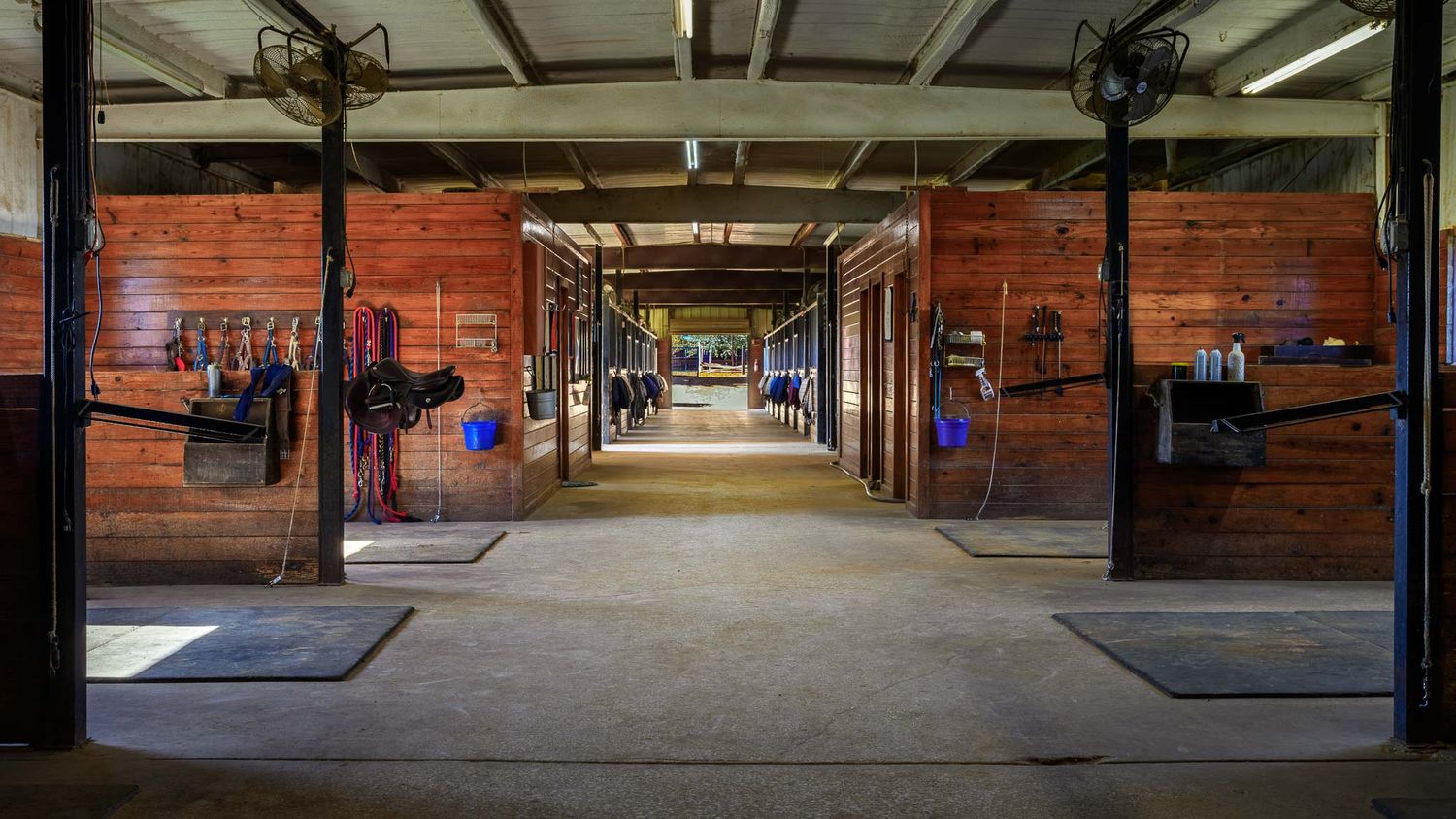 Editorial branding session for equestrian business — marketing photography for trainers