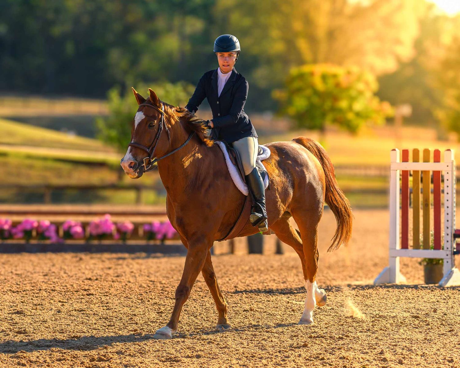 Equestrian rider practicing dressage in sandy arena during golden sunset hour with warm backlighting.