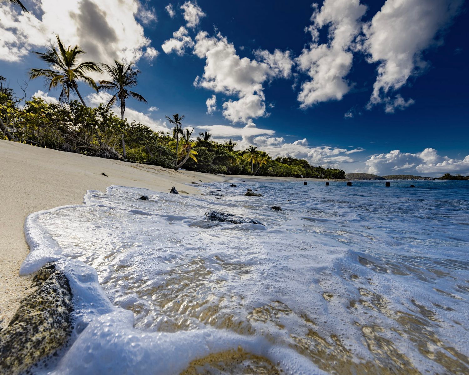Waves crash on a tropical beach with palm trees and white sand under a bright blue sky with puffy clouds.