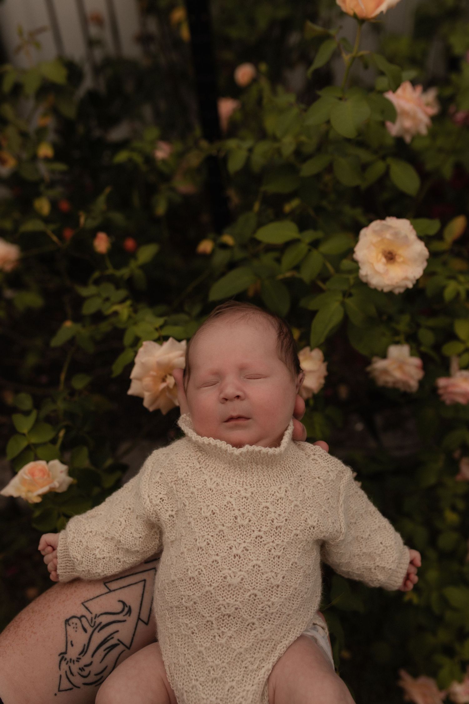 Peaceful sleeping infant in cream knit outfit nestled among blooming peach roses.