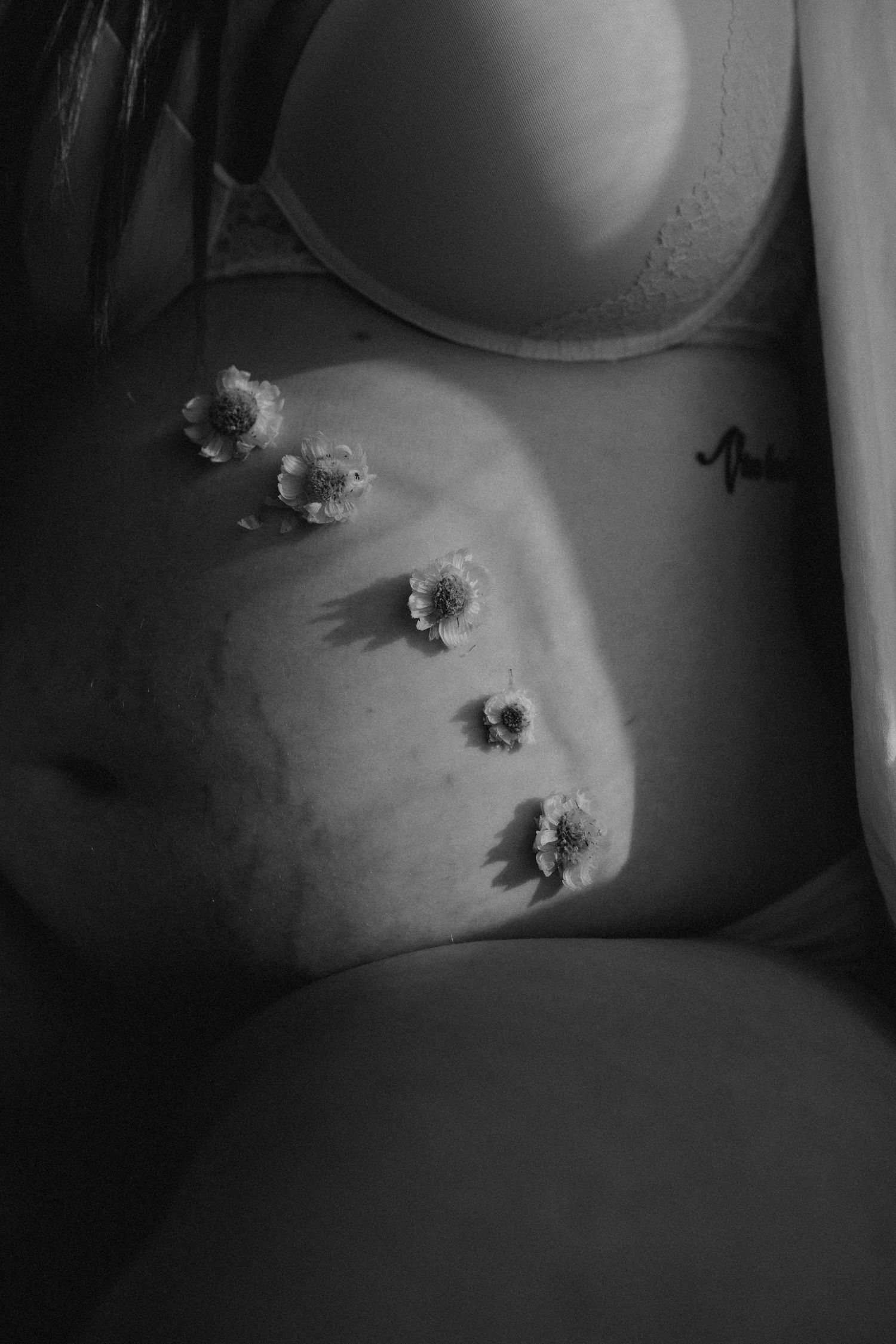 Black and white close-up of small flower petals adorning a curved surface.