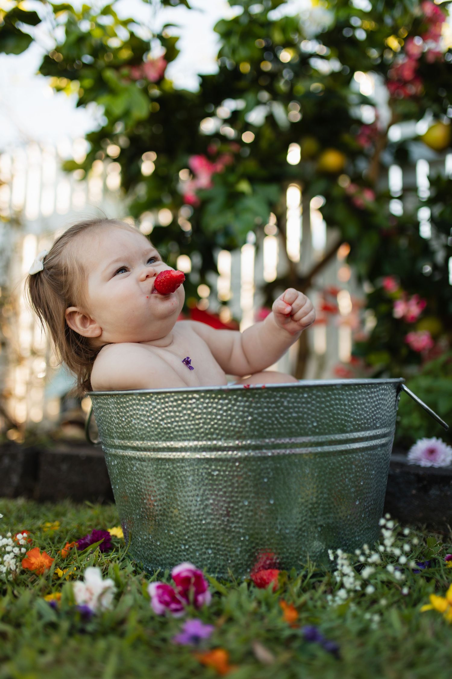 Playful moment captured in a metal tub surrounded by vibrant flowers and greenery.
