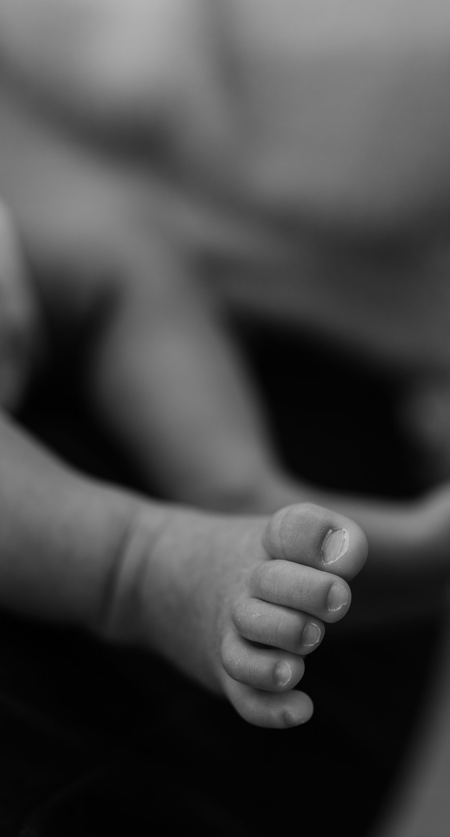 Black and white close-up of tiny infant toes and feet.