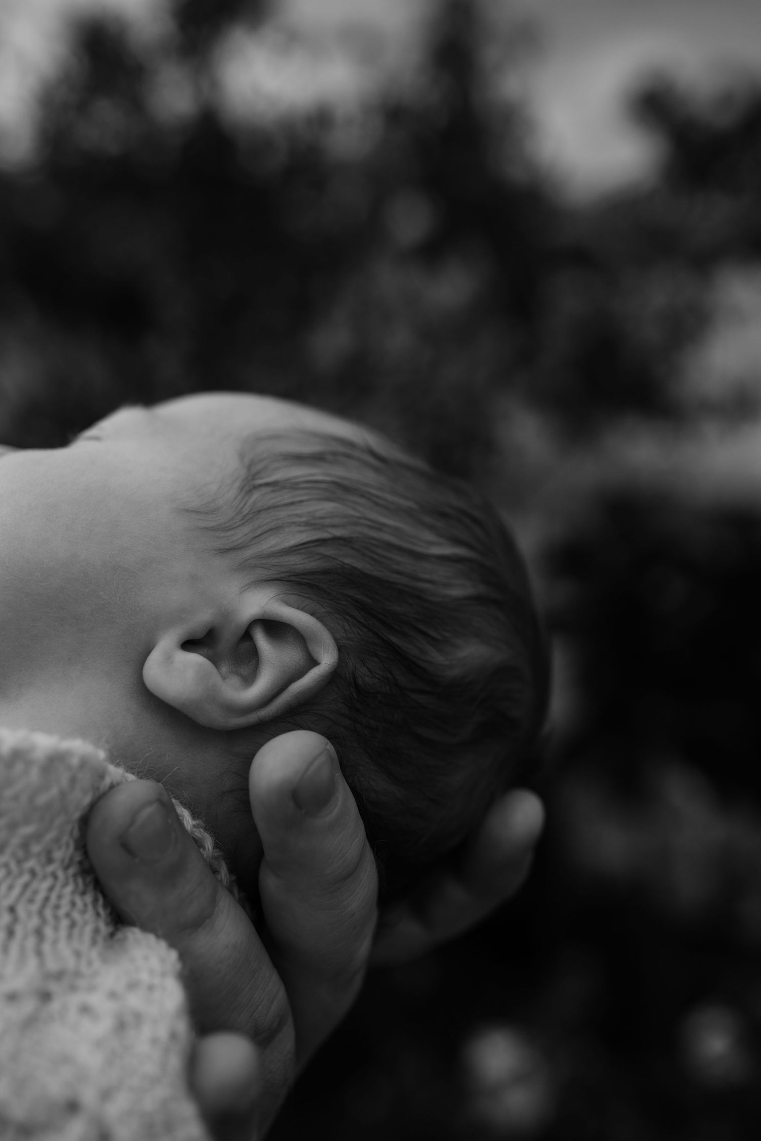 A black and white close-up of a baby's head and ear being gently cradled.