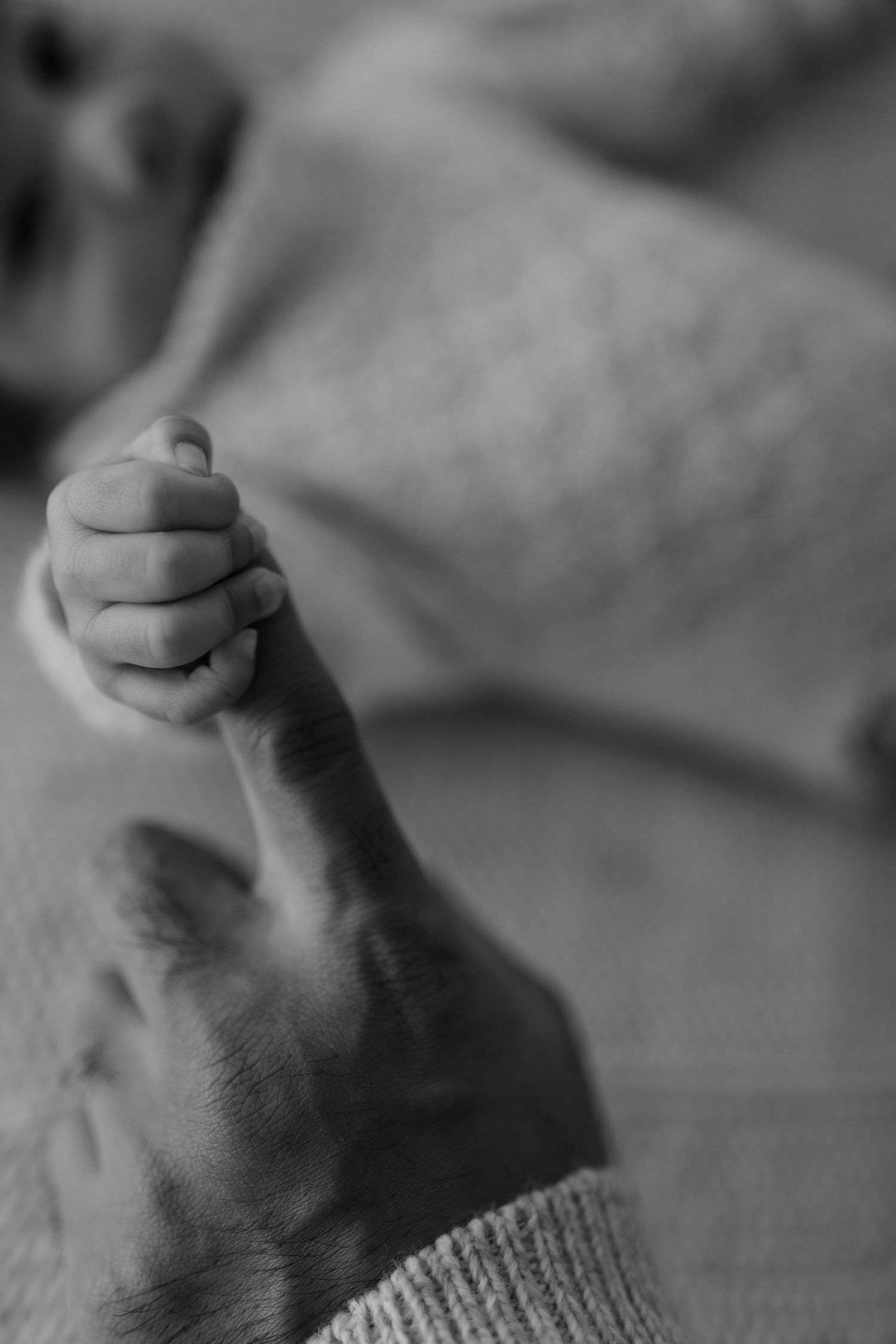 A black and white close-up of a tiny baby hand grasping an adult finger.