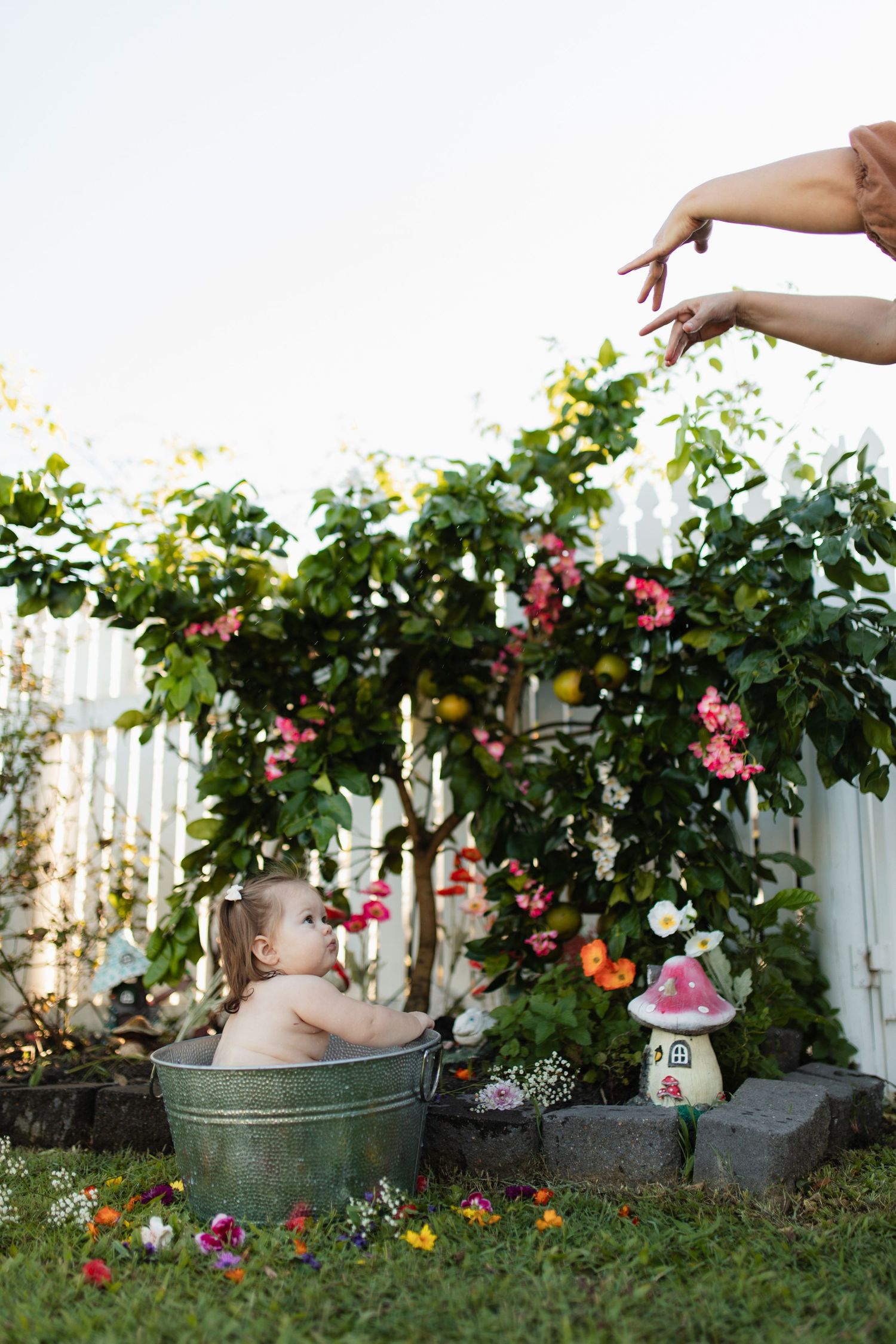 Garden bath scene with metal tub and flowering plants in background.