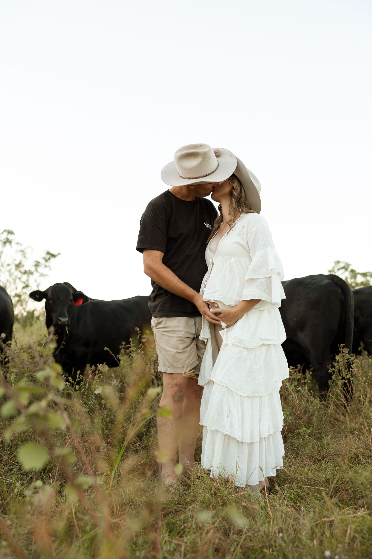 Romantic couple in cowboy attire share intimate moment in rustic field with black cattle grazing in background.