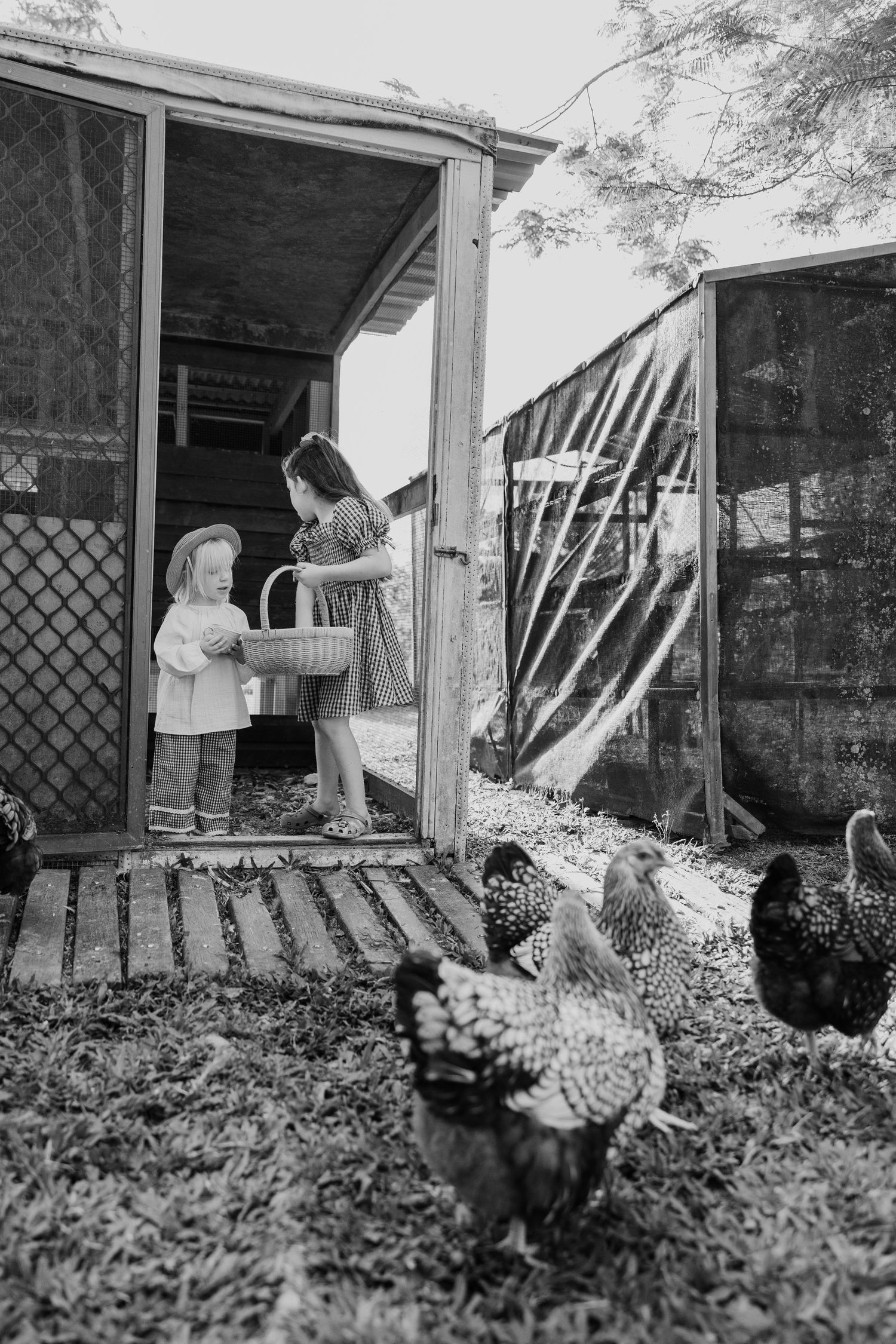 A vintage black and white photo showing chickens in front of a small shed with two people standing in the doorway.