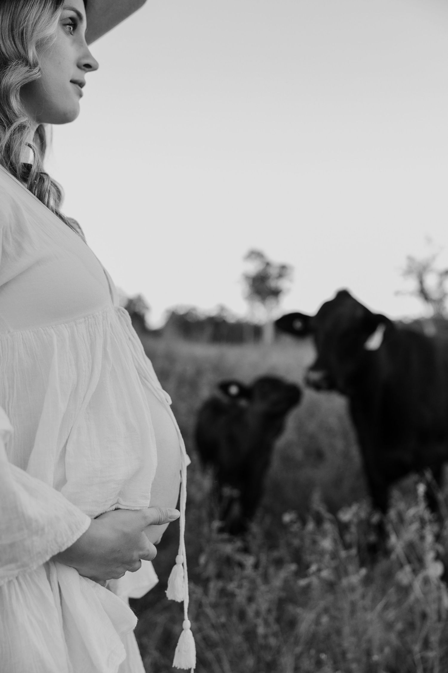 Black and white maternity photo featuring a flowing white dress and curious cows in a pastoral field setting.