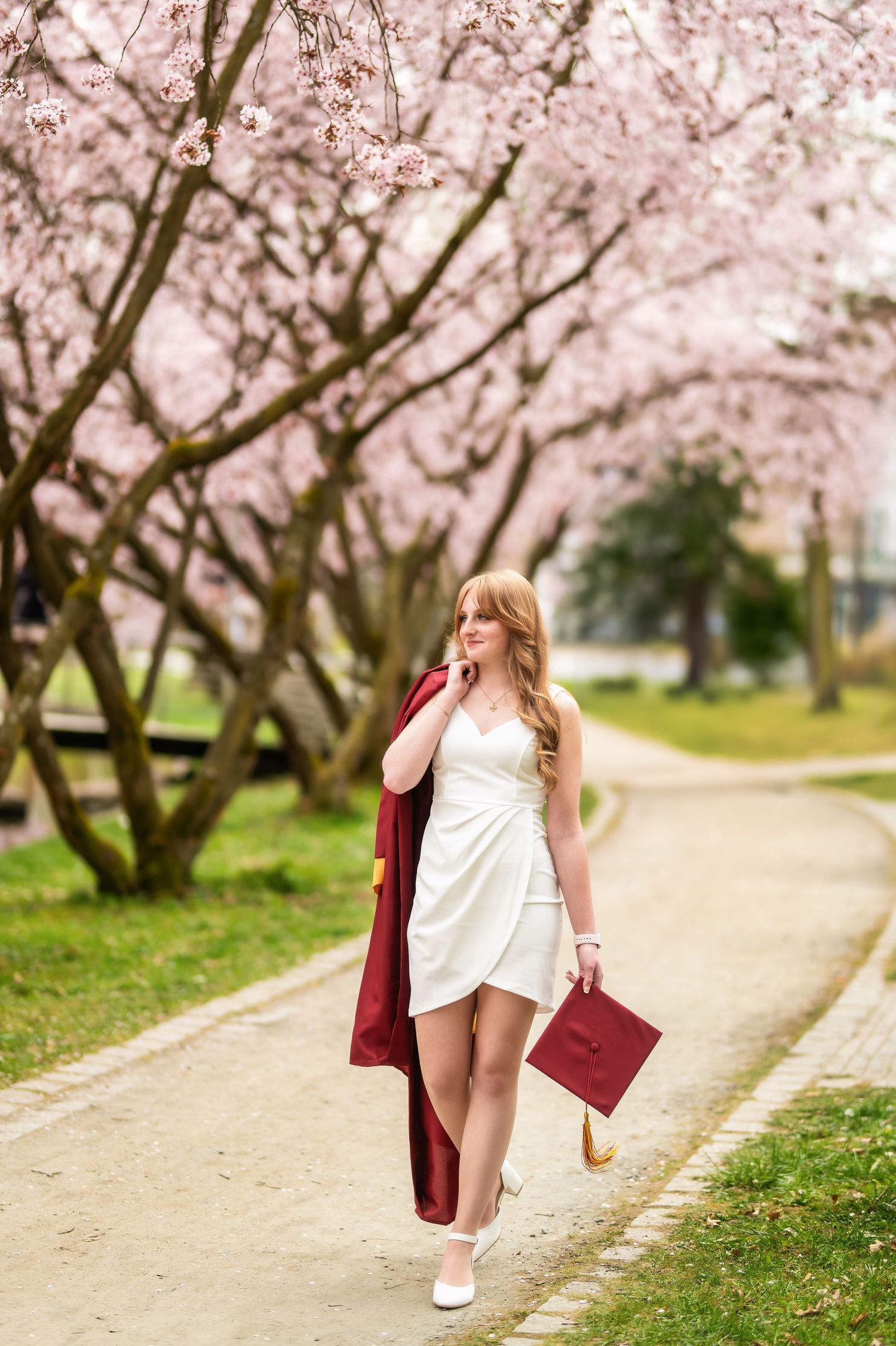 Graduate in white dress holds red academic regalia while walking under blooming cherry trees.