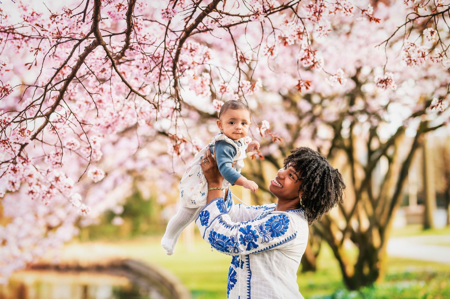 Family playing and lifting child in the air under pink cherry blossom trees.