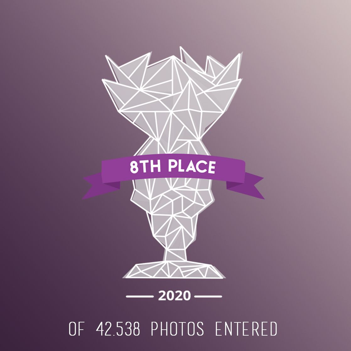 Geometric trophy icon with purple banner showing 8th place out of 42,538 entries in 2020.