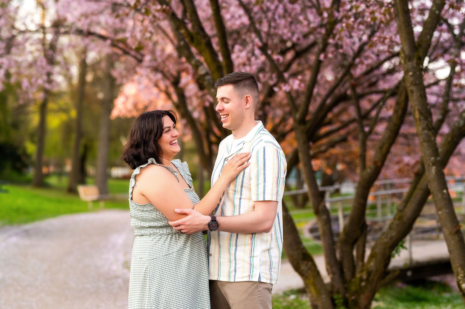 Springtime family portraits under blooming cherry blossom trees with soft pink petals.