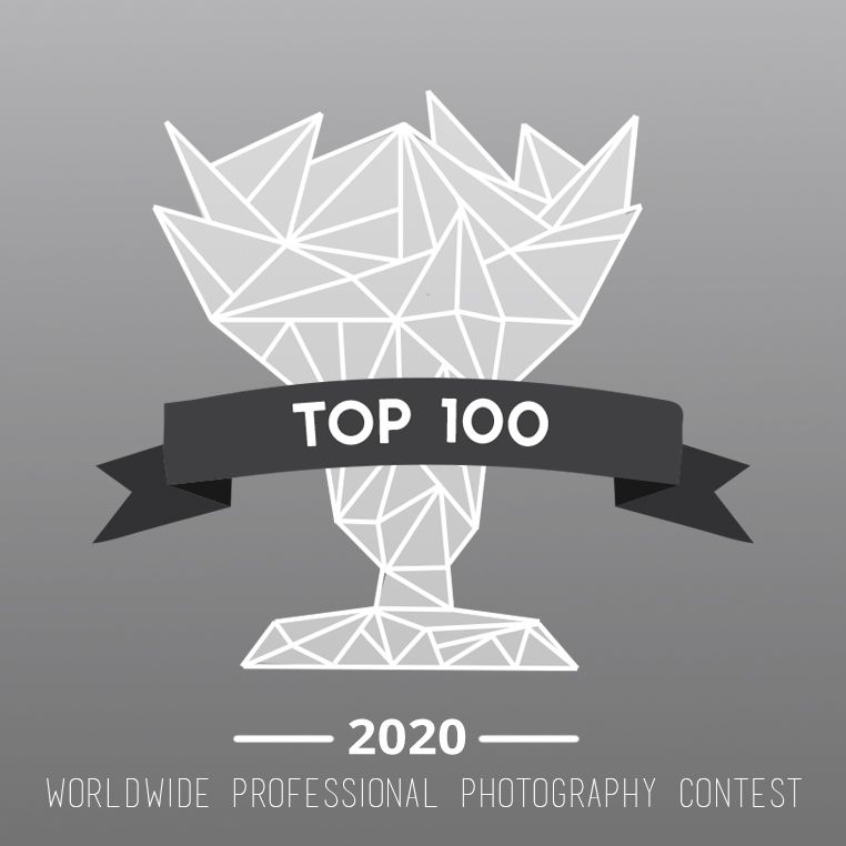 Geometric trophy design with black ribbon showing Top 100 achievement in photography contest 2020.