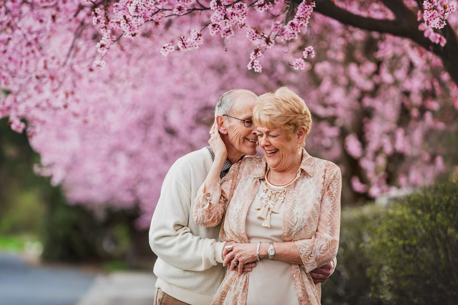 Elderly couple embracing under pink cherry blossom tree, sharing a tender moment outdoors in spring.