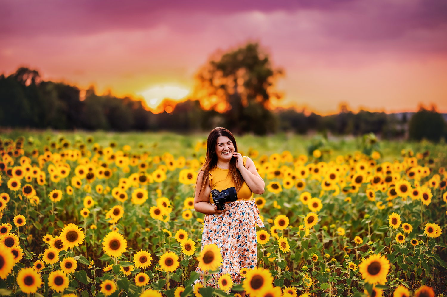 Candid shot in vibrant sunflower field at sunset with warm golden lighting.