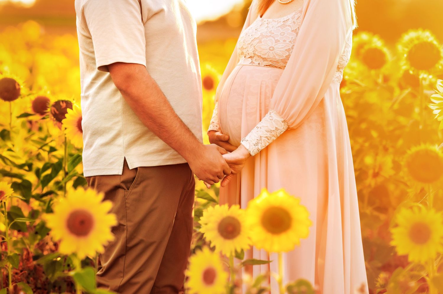Intimate maternity photo showing couple holding hands in a sunflower field at sunset.