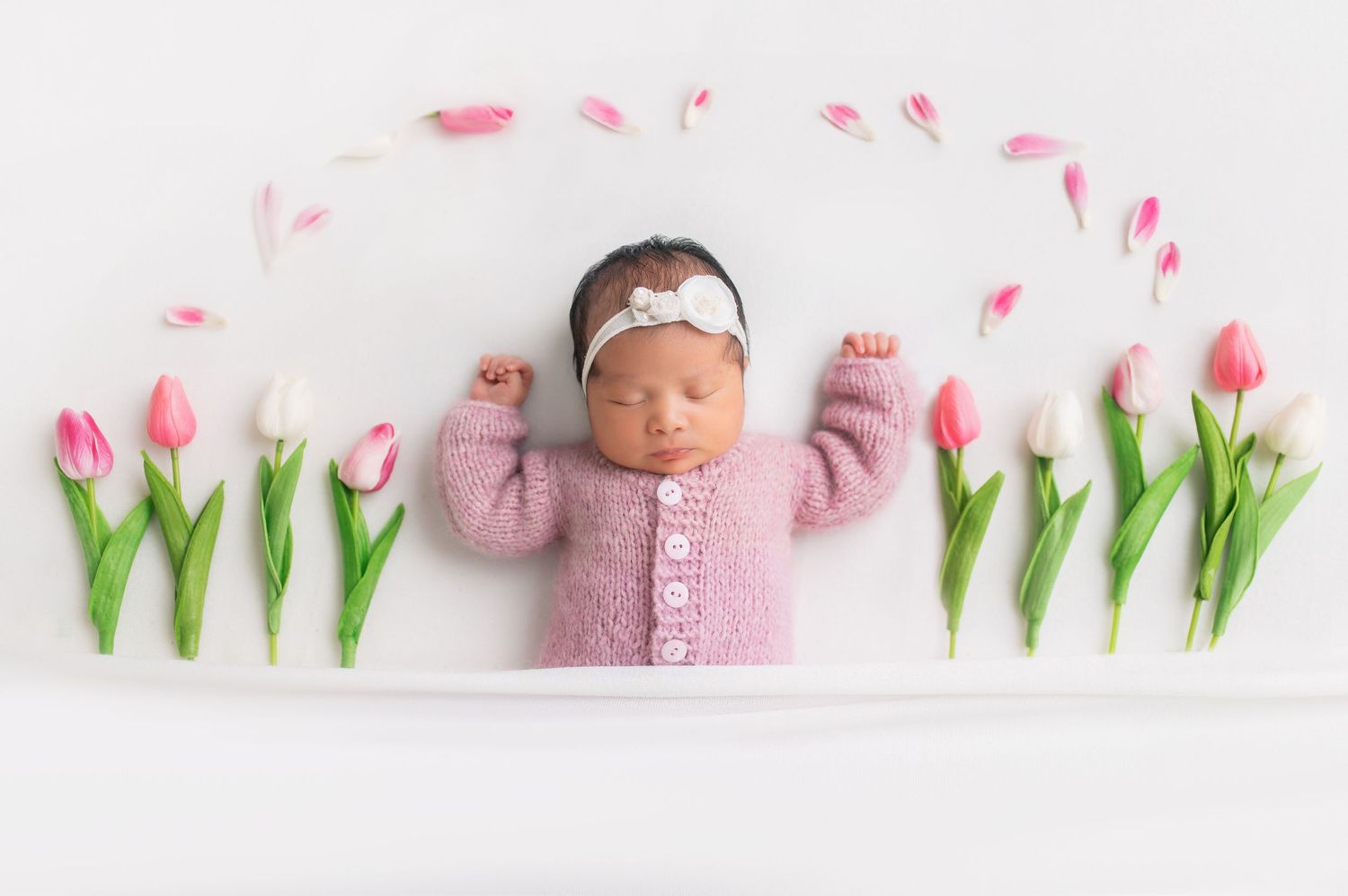 Sleeping newborn in pink sweater surrounded by pink tulips on white background.