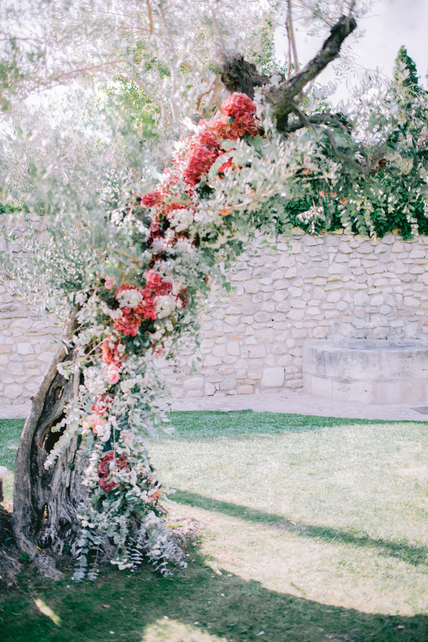 Ancient stone wall with climbing roses and flowering vines in a garden setting.