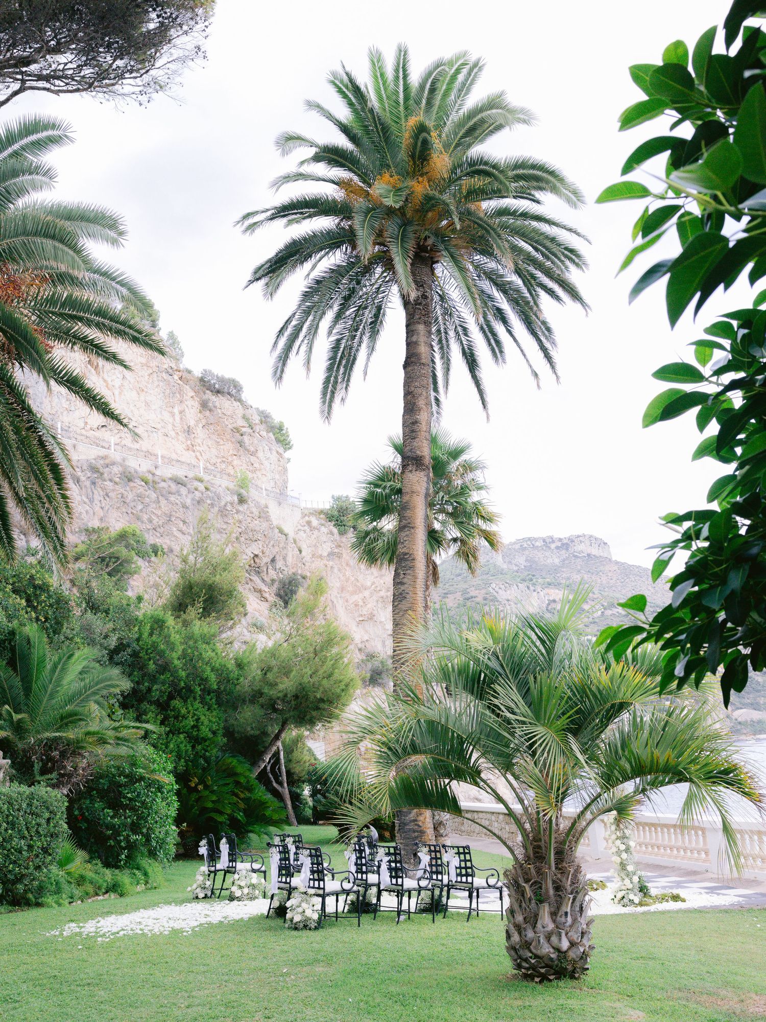 Elegant garden setting with tall palm trees and mountain views perfect for outdoor events.