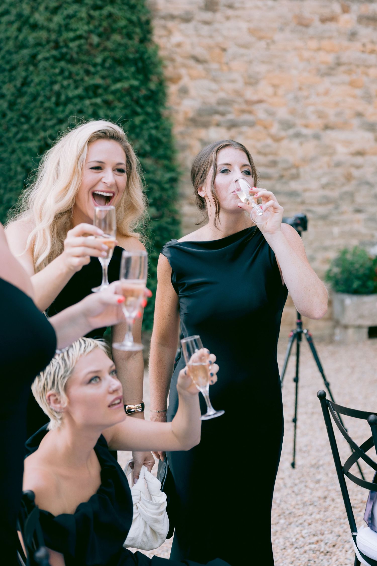 Wedding guests in formal attire toasting and laughing at outdoor celebration.